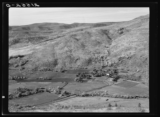 The Carlock farmstead. Mr. Carlock is a member of Ola self-help sawmill co-op. Gem County, Idaho. General caption 48