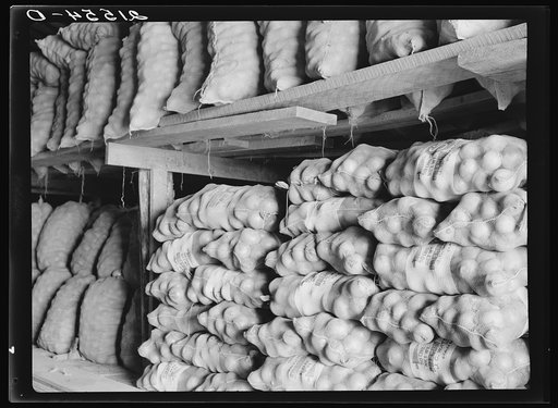 Fifty-pound bags of onions in storage shed, ready for market. Malheur County, Oregon