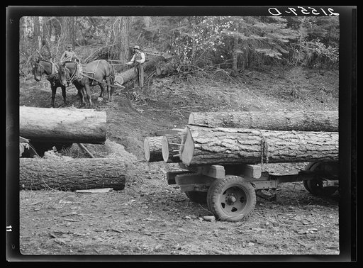 Untitled photo, possibly related to: Members of Ola self-help sawmill co-op snaking a fir log down to the truck. Gem County, Idaho. General caption 48