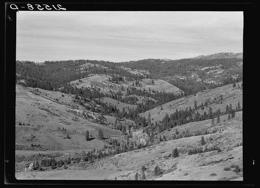 Untitled photo, possibly related to: Upper end of Squaw Creek Valley near the mill, showing part of the timber resources. Ola self-help sawmill co-op. Gem County, Idaho. General caption 48