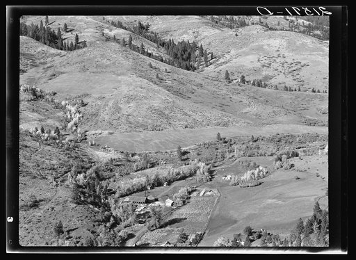 Untitled photo, possibly related to: Looking down on Ola self-help co-op mill showing the upper end of Squaw Creek Valley, the creek lined with trees, the new dry shed near the mill, homes of co-op members and cultivated surrounding fields. Gem County, Idaho