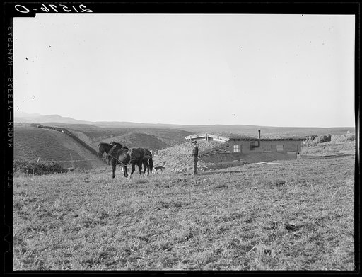 Untitled photo, possibly related to: The Daugherty home. Note siphon which brings irrigation water from the opposite bench. Warm Springs district, Malheur County, Oregon. General caption 74