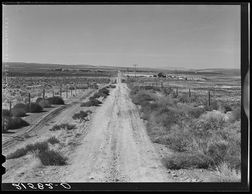 Section of lone road approaching the Schroeder place. Dead Ox Flat, Malheur County, Oregon. General caption 67