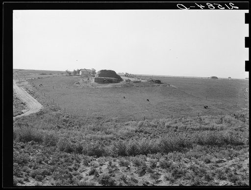 Untitled photo, possibly related to: Landscape showing home of FSA (Farm Security Administration) borrower: sage bush, hayfield, farmstead, and cattle in pasture. Nyssa Heights, Malheur County, Oregon. General caption 66