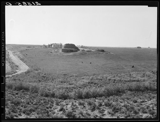 Landscape showing home of FSA (Farm Security Administration) borrower: sage bush, hayfield, farmstead, and cattle in pasture. Nyssa Heights, Malheur County, Oregon. General caption 66