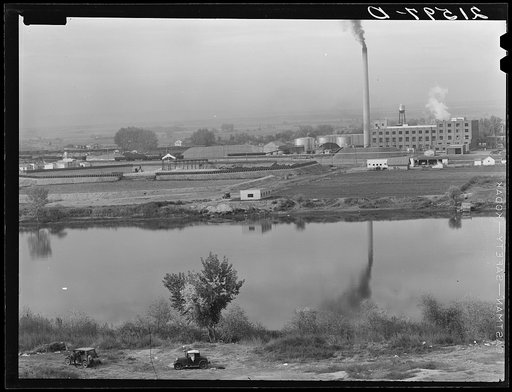 Untitled photo, possibly related to: Sugar beet factory along Snake River. Shows beet dump, beet pile. Nyssa, Malheur County, Oregon. General caption 66