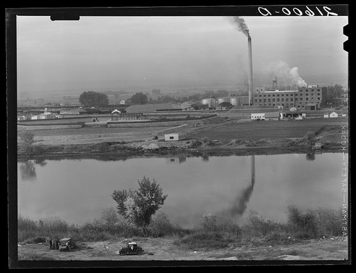 Untitled photo, possibly related to: Sugar beet factory along Snake River. Shows beet dump, beet pile. Nyssa, Malheur County, Oregon. General caption 66