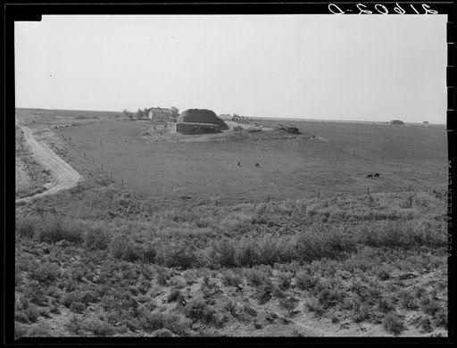 Untitled photo, possibly related to: Landscape showing home of FSA (Farm Security Administration) borrower: sage bush, hayfield, farmstead, and cattle in pasture. Nyssa Heights, Malheur County, Oregon. General caption 66