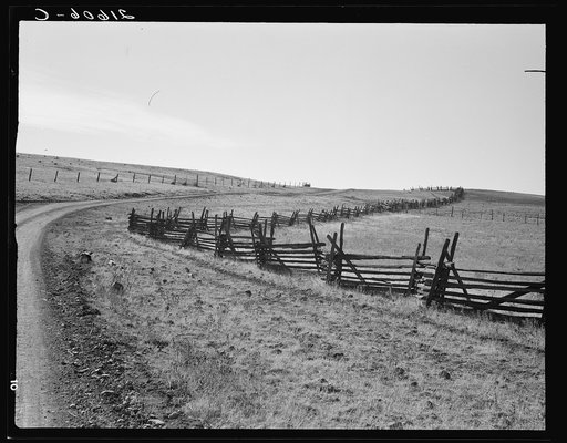 Road going up Squaw Creek Valley, leaving Ola. Fence was built in 1890.  Ola self-help sawmill co-op. Gem County, Idaho. General caption 48