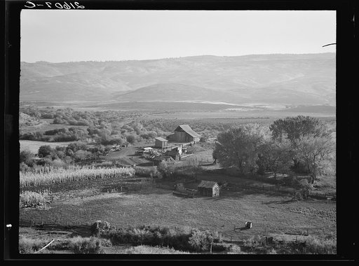 Untitled photo, possibly related to: Squaw Valley farm. 640 acres, with sixty in tillable land, raises mainly livestock, Established about fifty years ago. Note shackes on small building in foreground. Ola self-help sawmill co-op supplied shingles for barn and grainery. Note new lumber for the mill 