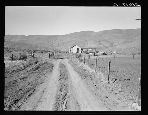 A new house for descendant of old Idaho family, now a member of Ola self-help sawmill co-op. Gem County, Idaho. Lumber was supplied by the mill. His board lumber charges were about sixty-six dollars, windows and doors an additional thirty-five dollars. Note lumber pile in yard. General caption 48