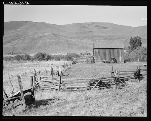 Farmyard in Squaw Creek Valley. Ola self-help sawmill co-op. Gem County, Idaho. Old wagon and buggy against the barn was used for mail until 1921.  See general caption 48