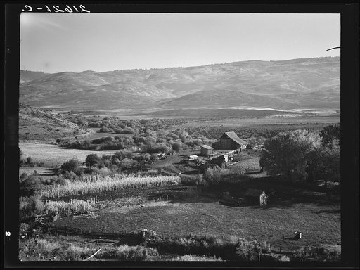 Squaw Valley farm. 640 acres, with sixty in tillable land, raises mainly livestock, Established about fifty years ago. Note shackes on small building in foreground. Ola self-help sawmill co-op supplied shingles for barn and grainery. Note new lumber for the mill piled in yard. Gem County, Idaho. Gen
