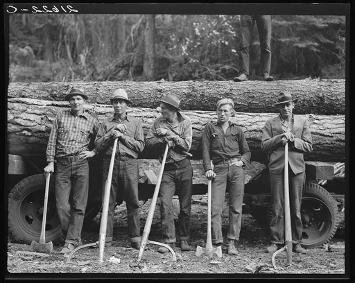 Five Idaho farmers, members of Ola self-help sawmill co-op, in the woods standing against a load of logs ready to go down to their mill about three miles away. Gem County, Idaho. General caption 48