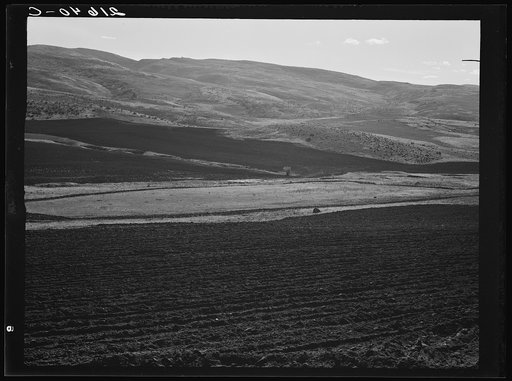 Newly-plowed fields on land belonging to member of Ola self-help sawmill co-op. Gem County, Idaho. General caption 48