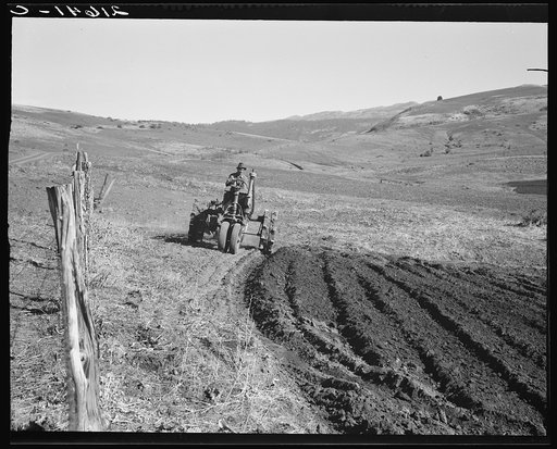 Young farmer, member of Ola self-help sawmill co-op, plowing while others work in sawmill. Gem County Idaho. General caption 48