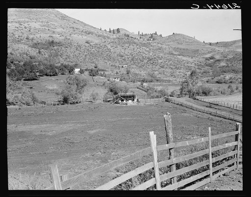 Carlock farmstead, Ola self-hHelp sawmill co-op. Gem County, Idaho. Shows new fence, new barn under construction, new house.White house seen across pasture in trees is the old family house. "We don't buy anything but flour, sugar, salt, coffee, pepper, etc. We grow everything we need but that." See 