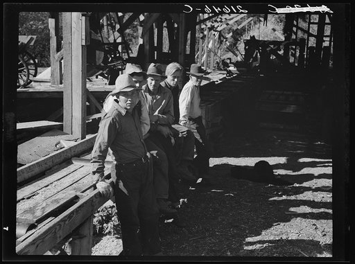 Untitled photo, possibly related to: Five Idaho farmers, members of Ola self-help sawmill co-op, in the woods standing against a load of logs ready to go down to their mill about three miles away. Gem County, Idaho. General caption 48