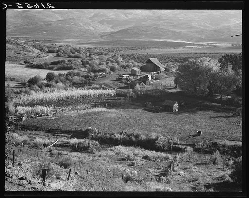 Squaw Valley farm. 640 acres, sixty in tillable land, raises mainly livestock.  Established about fifty years ago. Note old shakes on small building in foreground. The Ola self-help sawmill co-op has supplied shingles for barn and grainery. Note new lumber from the mill, piled in yard. Gem County, I