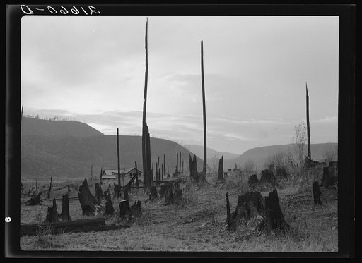 Untitled photo, possibly related to: View of the Halley farm. Priest River Peninsula. Bonner County, Idaho. See caption 51