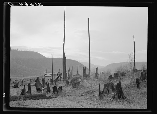 View of the Halley farm. Priest River Peninsula. Bonner County, Idaho. See caption 51