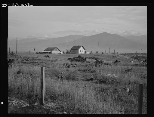 Untitled photo, possibly related to: New home, new fence, newly cleared land of farmer starting up on cut-over land. FSA (Farm Security Administration) borrower. Priest River Valley, Bonner County, Idaho. General caption 49