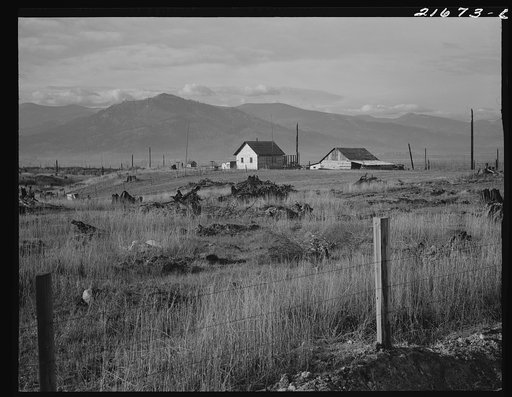 New home, new fence, newly cleared land of farmer starting up on cut-over land. FSA (Farm Security Administration) borrower. Priest River Valley, Bonner County, Idaho. General caption 49