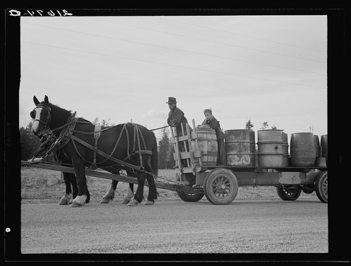 Untitled photo, possibly related to: Farmer and his boy hauling water for drinking and domestic purposes to the stump farm. Boundary County, Idaho. General caption 53