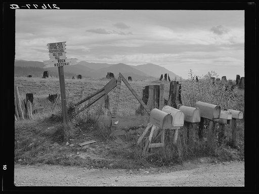 Crossroads off the highway in cut-over area. Boundary County, Idaho. General caption 49