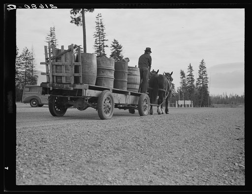 Farmer and his boy hauling water for drinking and domestic purposes to the stump farm. Boundary County, Idaho. General caption 53