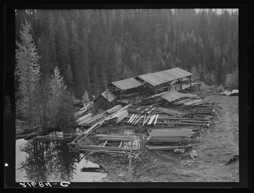 Untitled photo, possibly related to: Small privately owned mill in the woods, recently discontinued. All the large mills in this area have cut out. Mission Creek, Boundary County, Idaho. General caption 49
