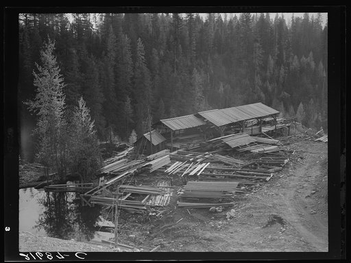 Untitled photo, possibly related to: Small privately owned mill in the woods, recently discontinued. All the large mills in this area have cut out. Mission Creek, Boundary County, Idaho. General caption 49