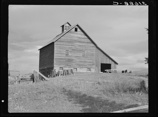 The barn of an older settler on established farm. Boundary County, Idaho.  General caption 49