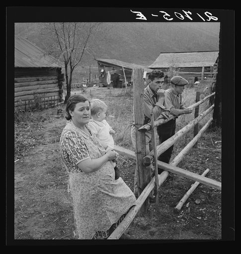 Farm family in the cut-over land. Priest River Valley, Bonner County, Idaho. The Halley family, FSA (Farm Security Administration) borrowers. See general caption 51