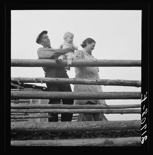 Untitled photo, possibly related to: Farm family in the cut-over land. Priest River Valley, Bonner County, Idaho. The Halley family, FSA (Farm Security Administration) borrowers. See general caption 51