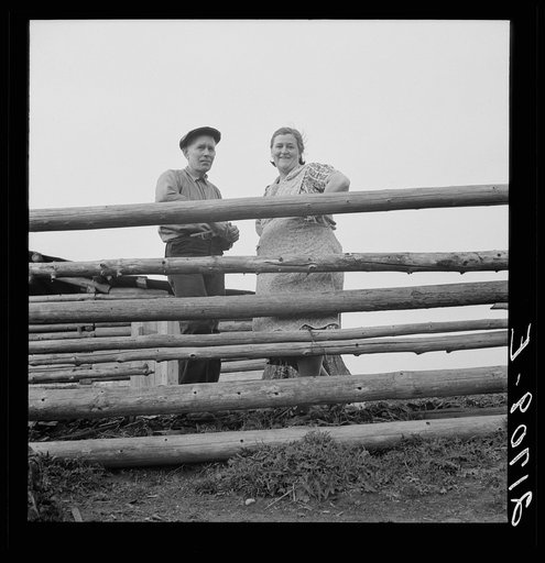Untitled photo, possibly related to: Farm family in the cut-over land. Priest River Valley, Bonner County, Idaho. The Halley family, FSA (Farm Security Administration) borrowers. See general caption 51