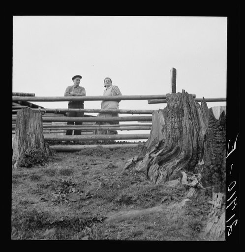 Untitled photo, possibly related to: Farm family in the cut-over land. Priest River Valley, Bonner County, Idaho. The Halley family, FSA (Farm Security Administration) borrowers. See general caption 51