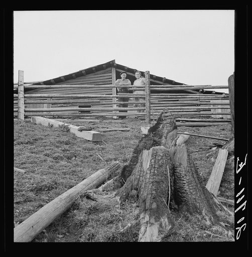 Untitled photo, possibly related to: Farm family in the cut-over land. Priest River Valley, Bonner County, Idaho. The Halley family, FSA (Farm Security Administration) borrowers. See general caption 51