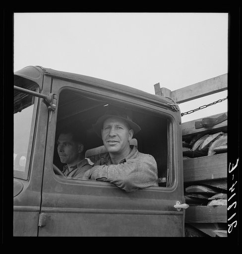 Stump farmer hauling load of slab wood for sale in town. Bonner County, Idaho. See general caption 49