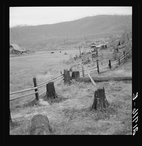 Fenced pasture on cut-over farm. Priest River Valley, Bonner County, Idaho. See general caption 49