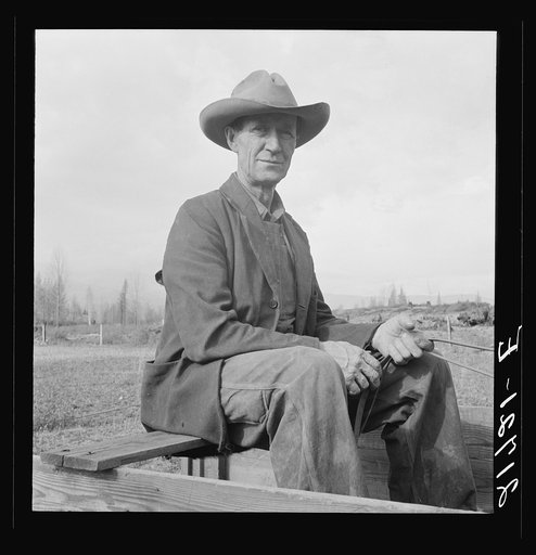 Untitled photo, possibly related to: Farmer from Nebraska now developing eighty-acre stump farm. Bonner County, Idaho. See general caption 50