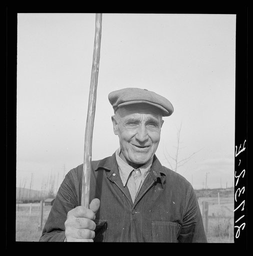 Untitled photo, possibly related to: Early settler of the valley. He came in 1916. Priest River Valley, Bonner County, Idaho. See general caption 49