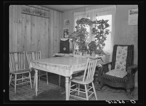 Untitled photo, possibly related to: Interior of Evenson new one-room cabin. Mrs. Evenson brought the plants with her from Montana. Priest River Valley, Bonner County, Idaho. See general caption 49