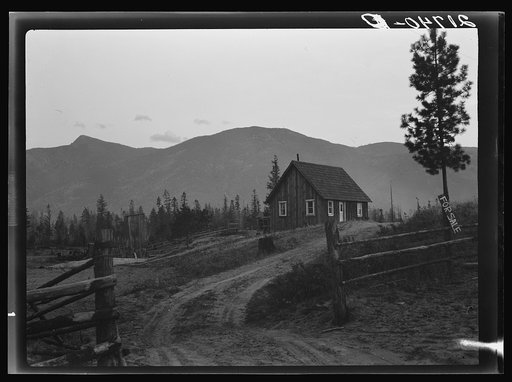 Untitled photo, possibly related to: Farm for sale. Boundary County, Idaho. This soil is sandy and the effort of clearing has been wasted. This farm has been occupied by four families since 1936, all failed
