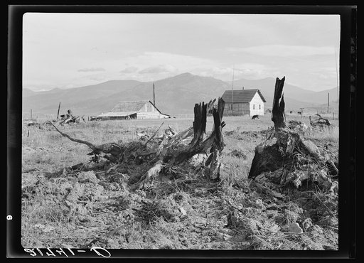 Evanson new home, looking across land which has recently been cleared by bulldozer. Priest River Valley, Bonner County, Idaho. See general caption 49, 54