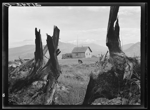 Untitled photo, possibly related to: Evanson new home, looking across land which has recently been cleared by bulldozer. Priest River Valley, Bonner County, Idaho. See general caption 49, 54