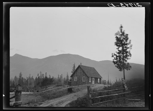 Untitled photo, possibly related to: Farm for sale. Boundary County, Idaho. This soil is sandy and the effort of clearing has been wasted. This farm has been occupied by four families since 1936, all failed