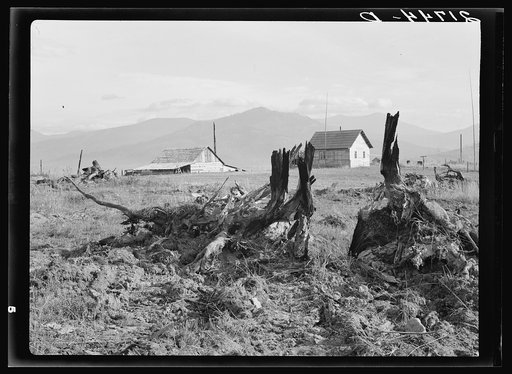 Untitled photo, possibly related to: Evanson new home, looking across land which has recently been cleared by bulldozer. Priest River Valley, Bonner County, Idaho. See general caption 49, 54