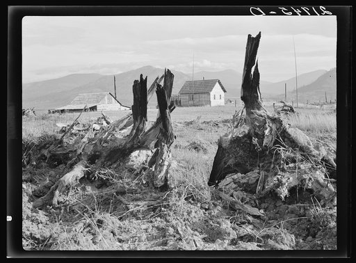Evanson new home, looking across land which has recently been cleared by bulldozer. Priest River Valley, Bonner County, Idaho. See general caption 49, 54