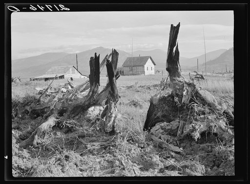 Untitled photo, possibly related to: Evanson new home, looking across land which has recently been cleared by bulldozer. Priest River Valley, Bonner County, Idaho. See general caption 49, 54